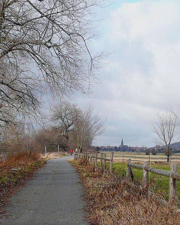Ferienwohnung Am Elberadweg Дрезден Экстерьер фото