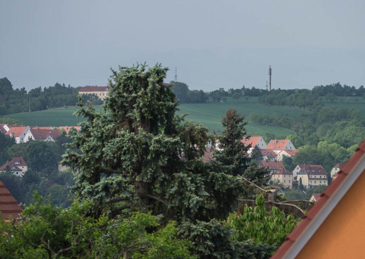 Ferienwohnung Am Elberadweg Дрезден Номер фото
